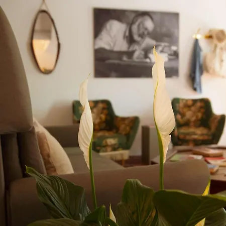 Hemingway Guest house 3*