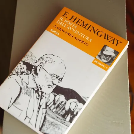 Hemingway Guest house 3*